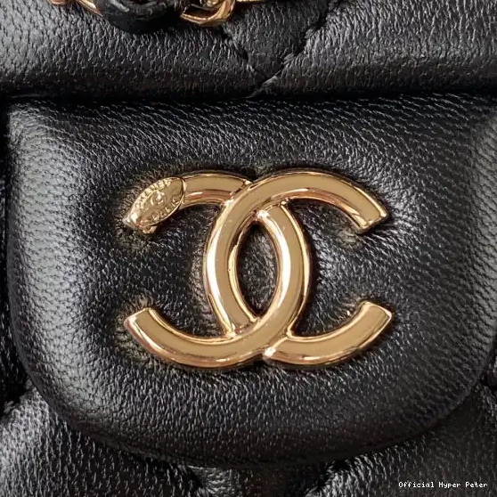 HyperPeter CHANEL BACKPACK 0505